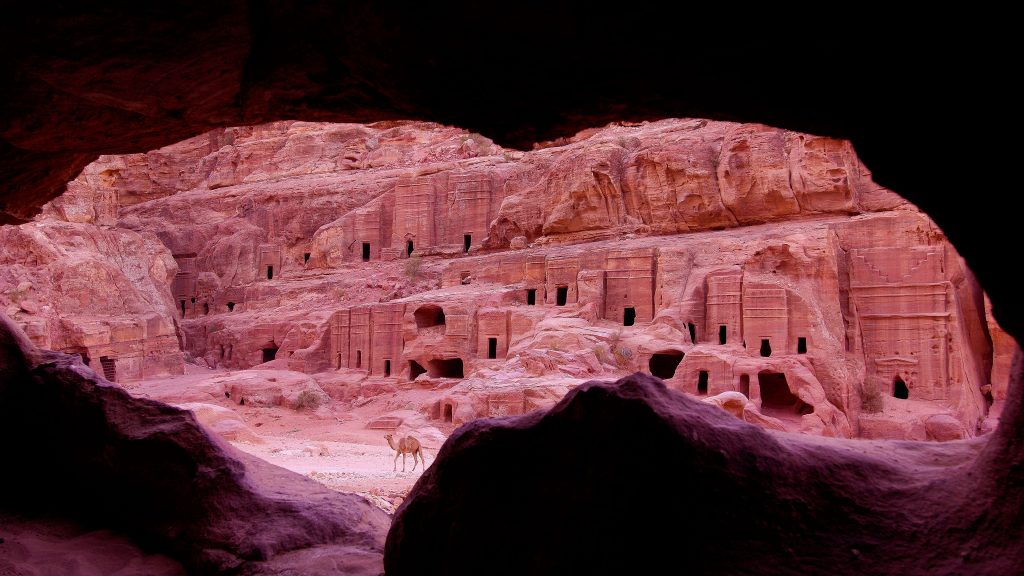Dromedary, Theatre Necropolis in Petra Archaeological Site, Jordan