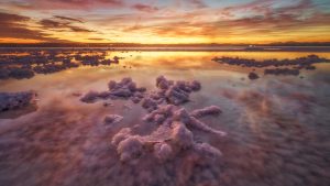 Read more about the article Natural park of Las Lagunas de La Mata, Pink Lake of Torrevieja, Alicante, Spain