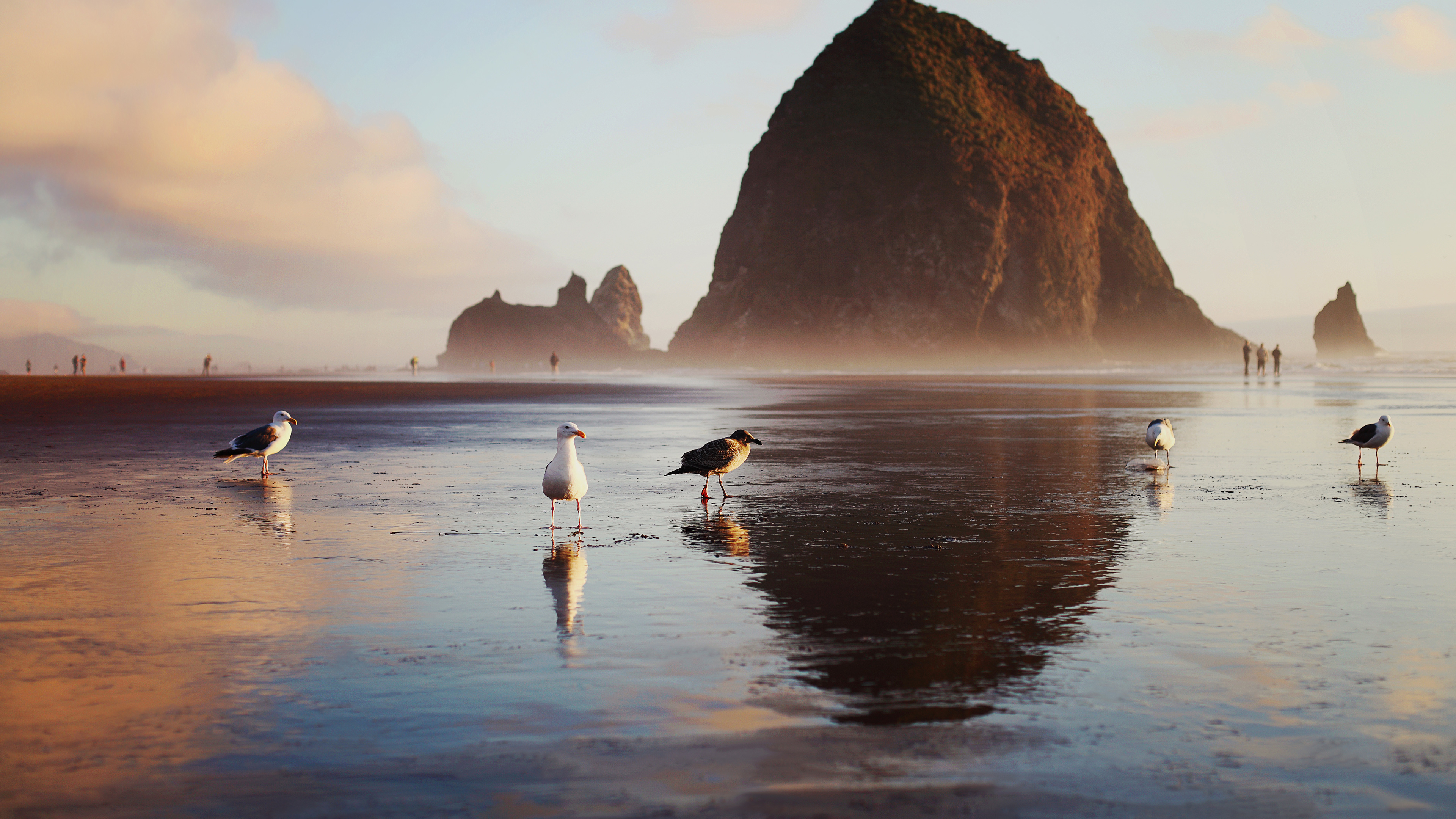 Read more about the article Seagulls and Haystack Rock at sunset, Cannon Beach, Oregon, USA