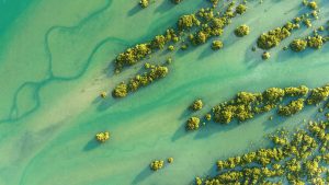 Read more about the article Aerial view of water texture and pattern at Waiwera beach, North of Auckland, New Zealand