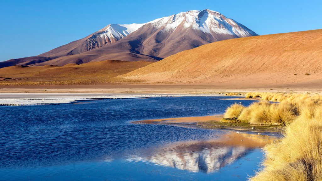 Laguna Hedionda salt lake, Nor Lípez Province, Potosí Department, Bolivia