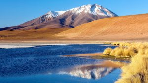 Read more about the article Laguna Hedionda salt lake, Nor Lípez Province, Potosí Department, Bolivia