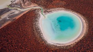 Read more about the article Coastline of Shark Bay, Francois Peron National Park, Western Australia