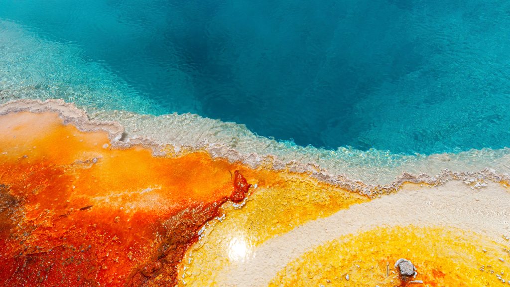 Hot spring in Norris Geyser Basin, Yellowstone National Park, Wyoming, USA