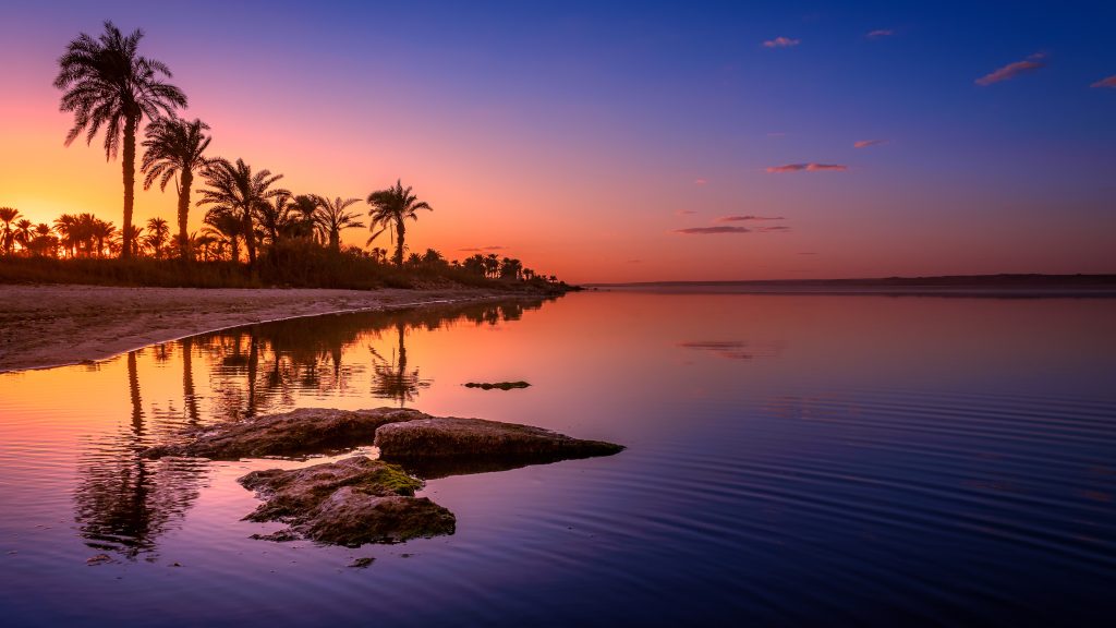 Silhouette of palm trees by lake against sky during sunset, Lake Qarun, Faiyum, Egypt