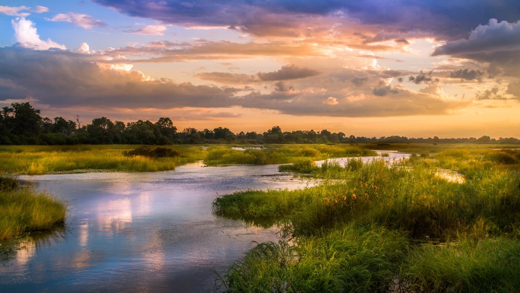 view of Okavango River Delta at sunset, Botswana