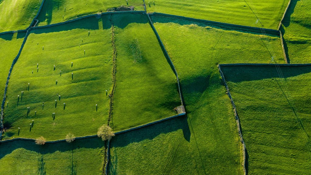 Yorkshire Dales pastures divided by drystone walls, North Yorkshire, England, UK