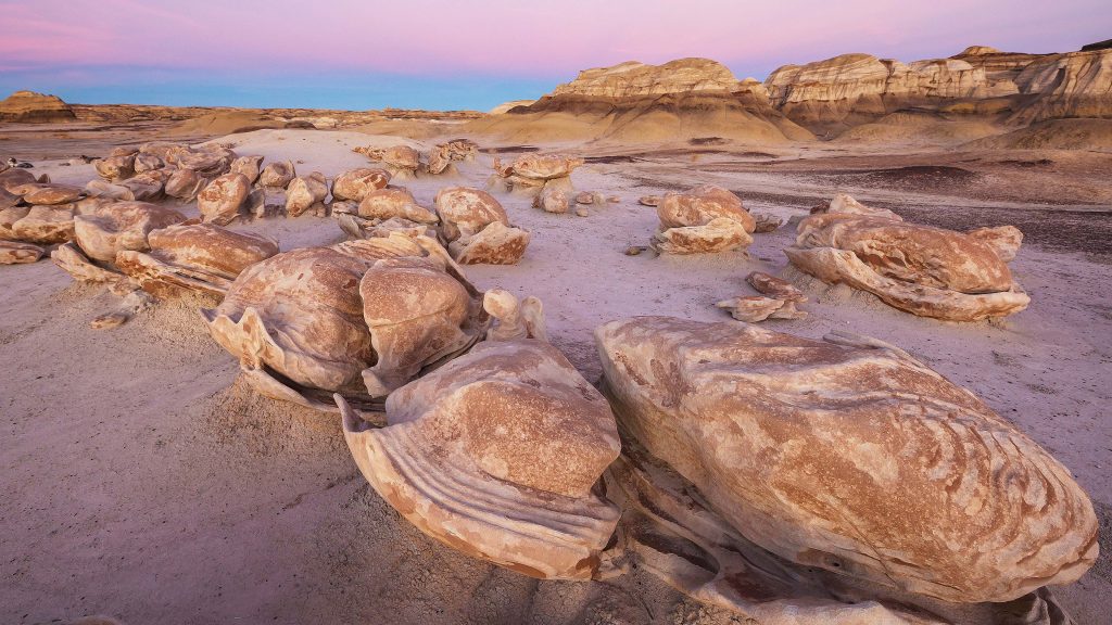 Eggs Garden in Bisti badlands, De-na-zin wilderness area, New Mexico, USA