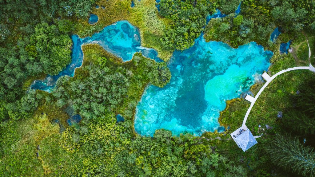 Aerial photo of Lake Zelenci surrounded by reeds and trees on a summer morning, Slovenia