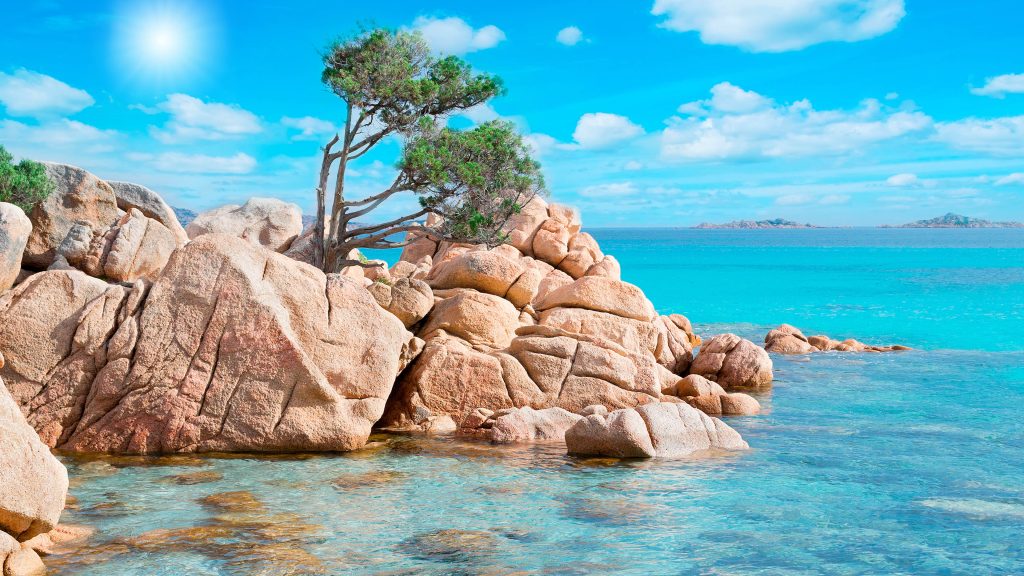 Rocks and maritime pine in Capriccioli beach, Costa Smeralda, Sardinia, Italy