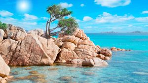 Read more about the article Rocks and maritime pine in Capriccioli beach, Costa Smeralda, Sardinia, Italy