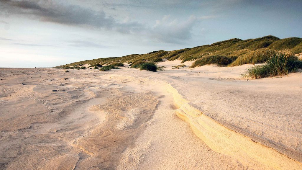 Sand dunes on Saltum Beach, Denmark