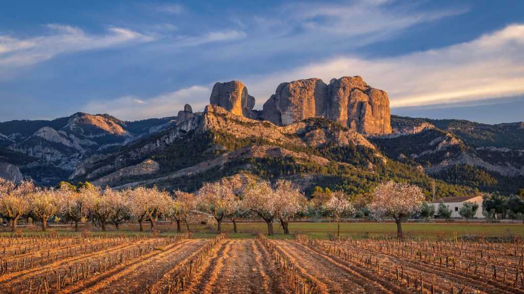 Spring sunset at Roques de Benet rocks, Els Ports Natural Park, Catalonia, Spain
