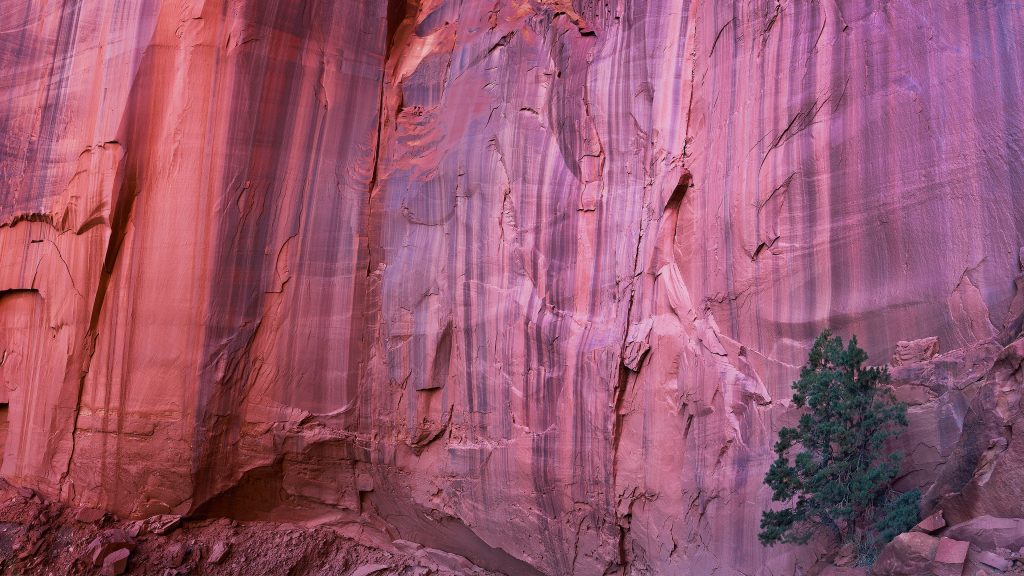 Wingate Sandstone cliffs in Capitol Reef National Park, Utah, USA