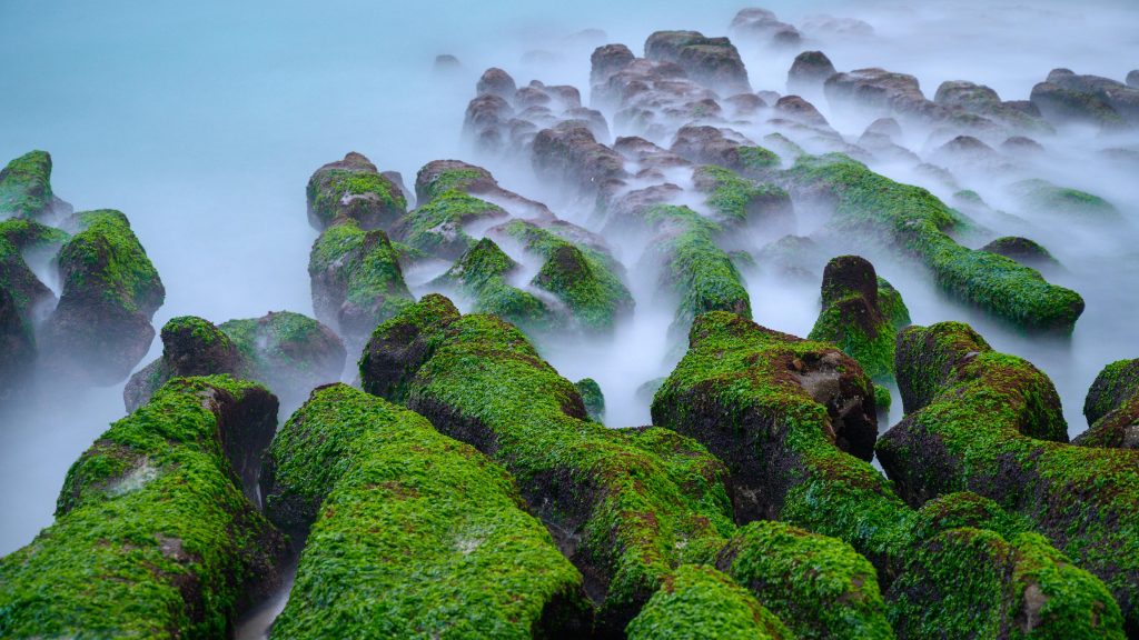 Seashore with landscape of volcanic rocks and algae, Laomei Green Reef, Taiwan