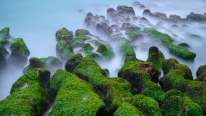 Read more about the article Seashore with landscape of volcanic rocks and algae, Laomei Green Reef, Taiwan