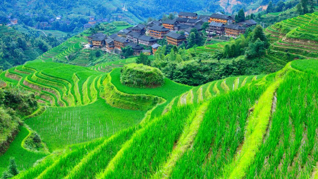 Rice paddy terraces in Dazhai village, Guilin, Guangxi, China