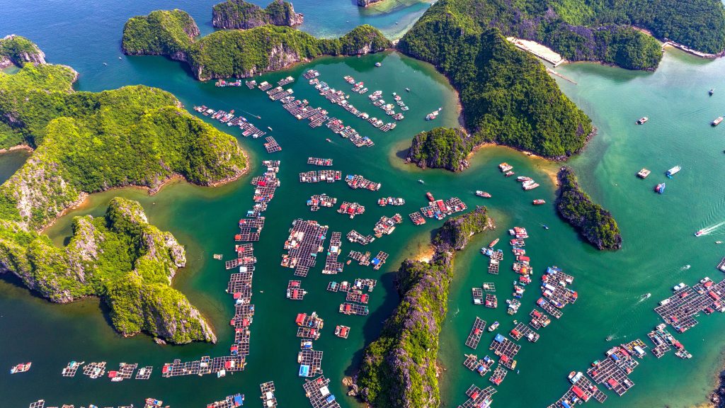 Aerial view of Ben Beo floating fishing village in Lan Ha Bay at Cát Bà Island, Vietnam