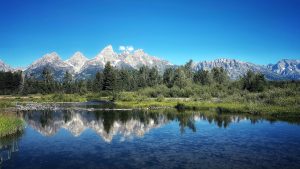 Read more about the article Schwabacher Landing in Grand Teton National Park, Wyoming, USA