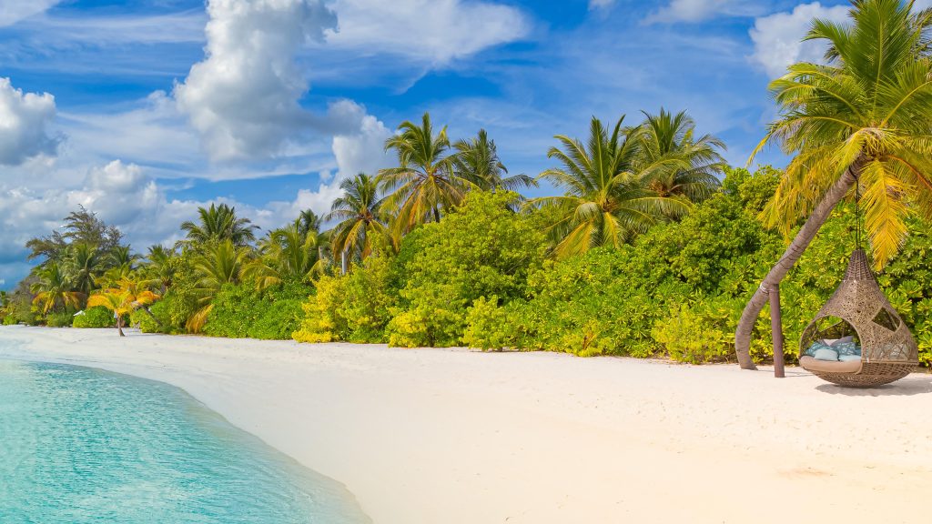 Landscape beach panorama with palm trees, South Ari Atoll, Maldives