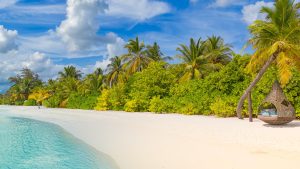 Read more about the article Landscape beach panorama with palm trees, South Ari Atoll, Maldives
