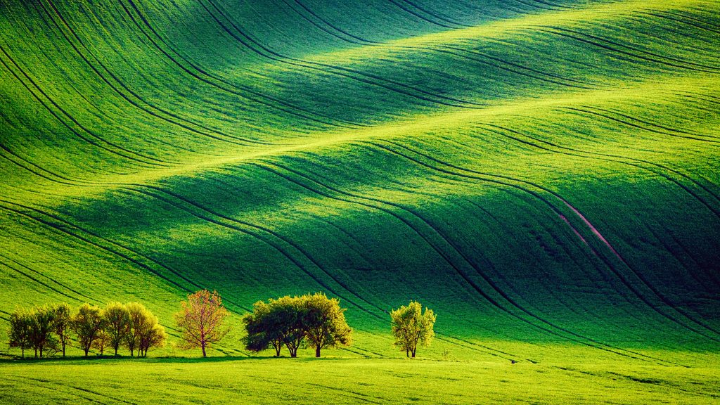 Rolling sunny hills with fields and trees, Southern Moravia, Czech republic