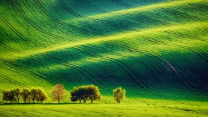 Read more about the article Rolling sunny hills with fields and trees, Southern Moravia, Czech republic