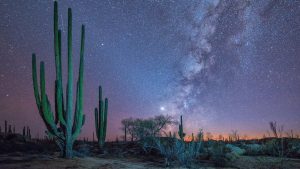 Read more about the article Milky Way, Cataviña, Baja California, Mexico