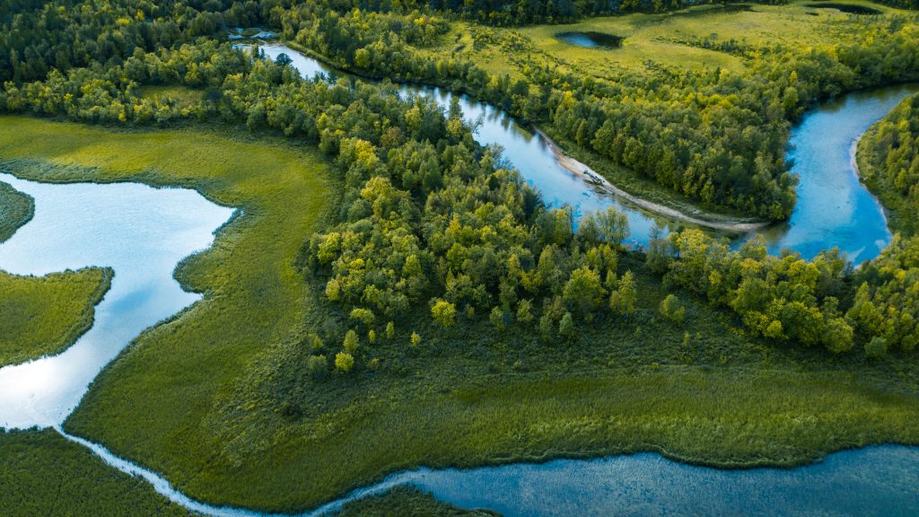 Swamp, river and trees, countryside near Straumbu, Innlandet, Norway