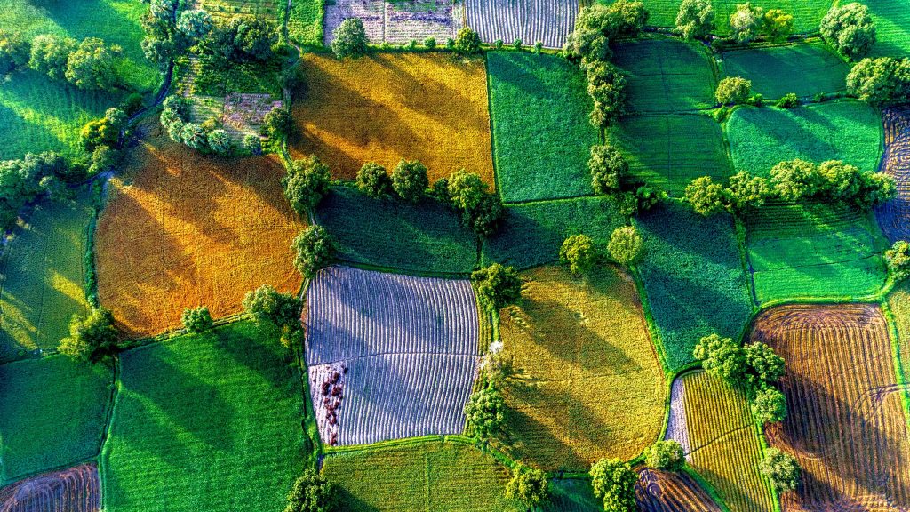 Ta Pa rice fields in Mekong Delta, Tri Ton District of An Giang Province, Vietnam