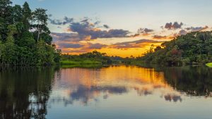 Read more about the article Lagoon by the Napo River, Ecuador