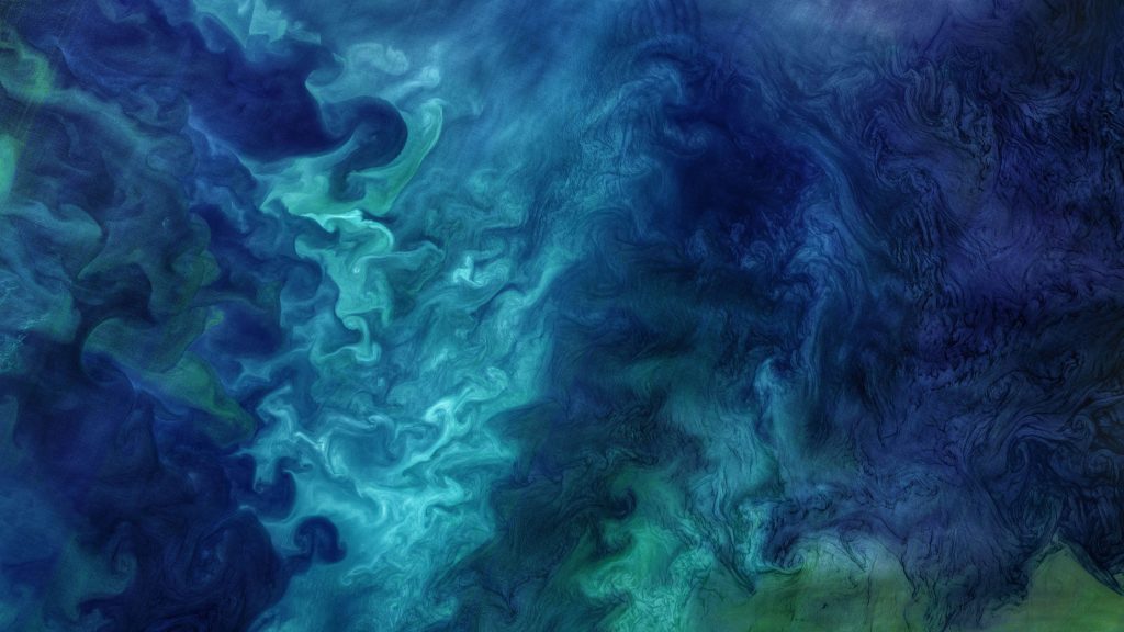 Diatom and plankton blooms in the Chukchi Sea off Alaska