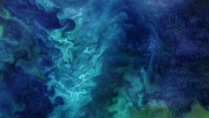 Read more about the article Diatom and plankton blooms in the Chukchi Sea off Alaska