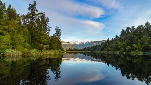 Read more about the article Reflection in Lake Matheson, South Westland, South Island of New Zealand
