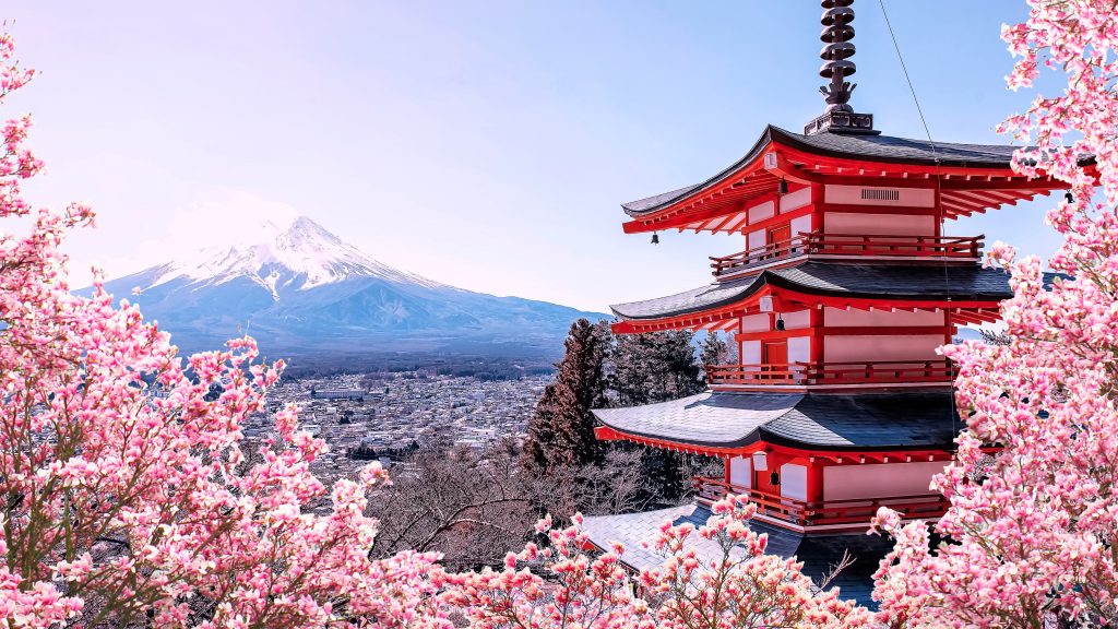 Cherry blossoms with Chureito Pagoda and Mount Fuji, Fujiyoshida, Japan