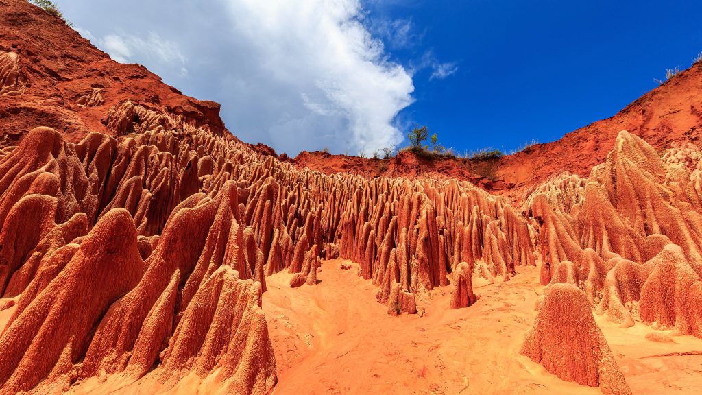 Karst formations Tsingy Rouge, Madagascar