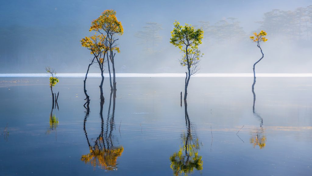 Sunbeam and trees reflected on lake at springtime, Da Lat, Lâm Đồng, Vietnam