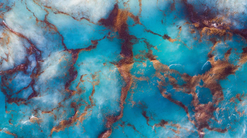 Aerial view of sargassum seaweed floating in Caribbean Sea, Barbados