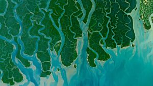 Read more about the article Tangled Mangrove Ganges Delta satellite image, Sundarbans, Bangladesh