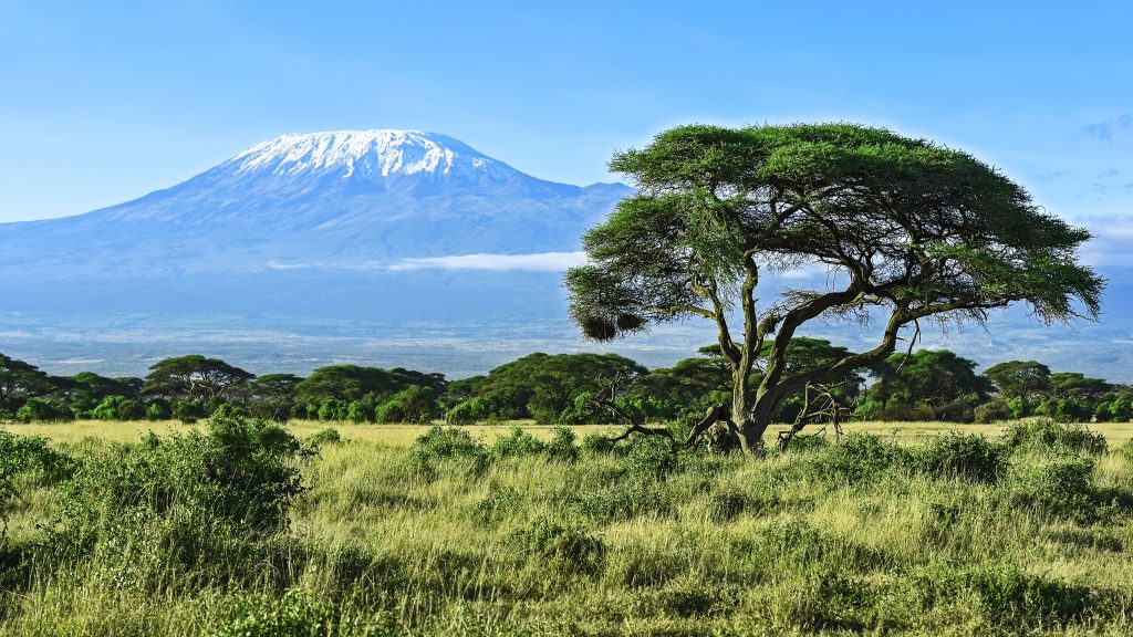 Mount Kilimanjaro seen from Amboseli National Park, Kenya