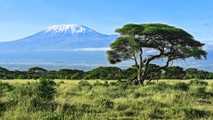 Read more about the article Mount Kilimanjaro seen from Amboseli National Park, Kenya