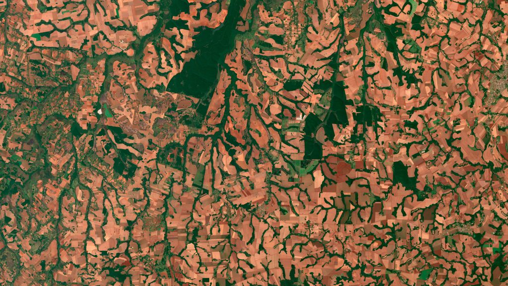 Agricultural fields and forests satellite view, San Cristobal, Paraguay